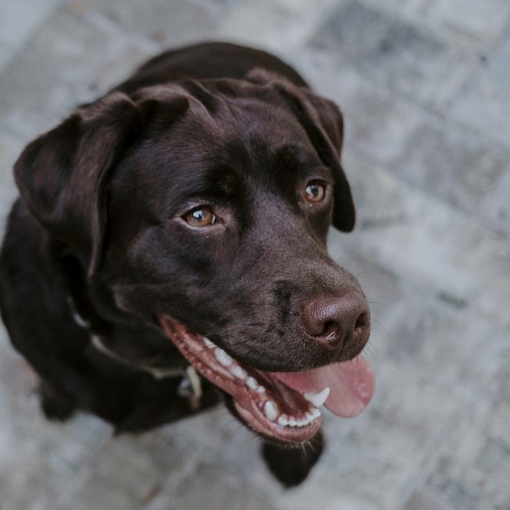 Hardeep Malhotra testimonial